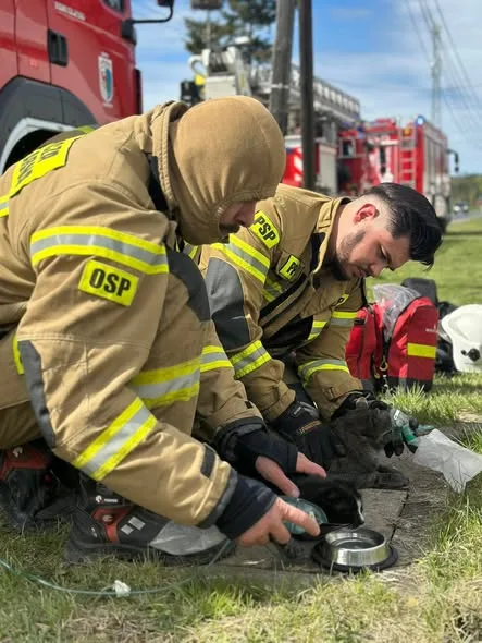 Pożar budynku mieszkalnego w Tarnowie — uratowane koty