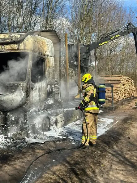 Pożar samochodu ciężarowego i lasu