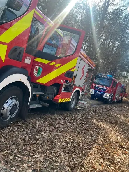 Pożar samochodu ciężarowego i lasu