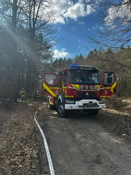 Pożar samochodu ciężarowego i lasu